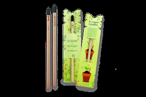 Crayon à graines SPROUT avec étui en découpe sur mesure personnalisable