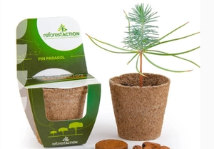 Kit de plantation pot tourbe biodégradable personnalisable