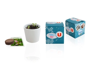 Cube de plantation avec pot céramique 7 cm - kits semis personnalisable