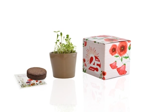 Cube de plantation avec pot céramique 7 cm - kits semis personnalisable