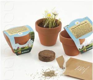 Kit de plantation terre cuite avec graines à faire pousser personnalisable