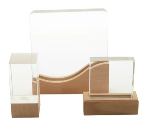 Trophée en verre avec son socle en bois de hêtre personnalisable