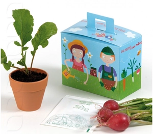 Kit de plantation mallette de jardinage avec pot et graines personnalisable