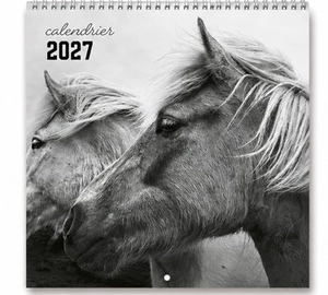 Calendrier Illustré Carré