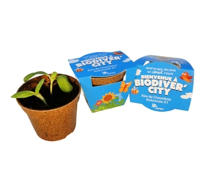 Kit de plantation avec pot en paille de riz personnalisable