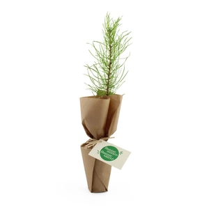 Arbre en pot de cellulose assemblé en france - produit vertueux par excellent personnalisable