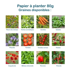 Calendrier A4 en papier de graines, 80g ou 100g, 7 feuillets personnalisable