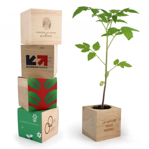 Cube en bois avec kit de plantation personnalisable