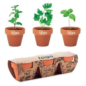 Kit de plantation 3 pots en terre cuite - menthe, persil et basilic personnalisable