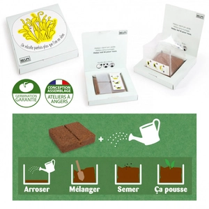 Kit de plantation carré coco box avec graines à semer personnalisable