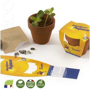 Kit de plantation en pot terre cuite avec graines personnalisable