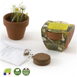 Kit de plantation terre cuite avec graines à faire pousser personnalisable