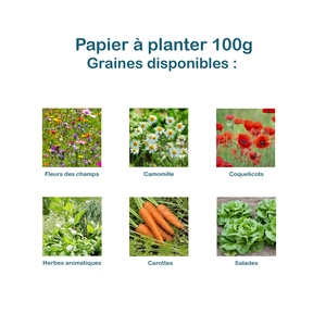 Marque pages ensemencé 80g ou 100g - grand format 105 x 297 mm personnalisable