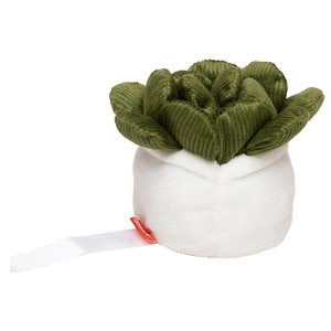 Peluche plante succulent en microfibre - convient aux enfants personnalisable