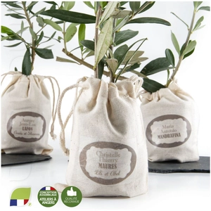Plant d'olivier en pochon coton personnalisable
