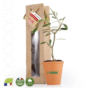 Plant d'olivier en pot terre et sac prestige kraft personnalisable