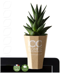 Porte plante d'ordinateur quadri - haworthia personnalisable