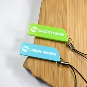 USB 95% biodégradable personnalisable