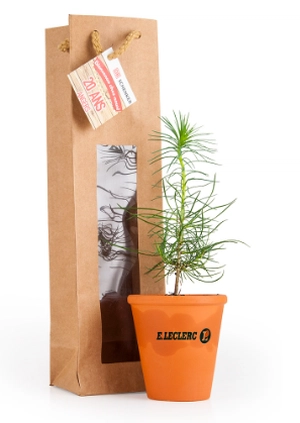 Petit plant de pin en pot terre et sac kraft brun personnalisable