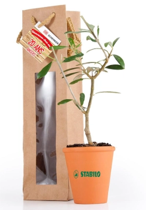Plant d'olivier en pot terre et sac prestige kraft personnalisable