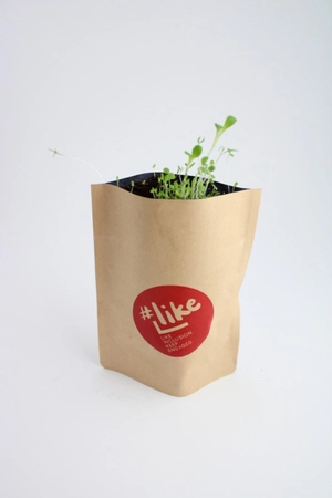 Le petit pot Kraft Pop-up avec graines et tourbes personnalisable