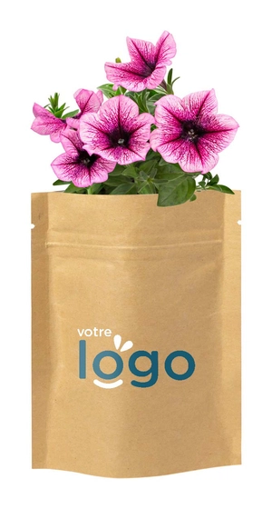 Kit de plantation de fleurs 5 à 8 graines de pétunia personnalisable