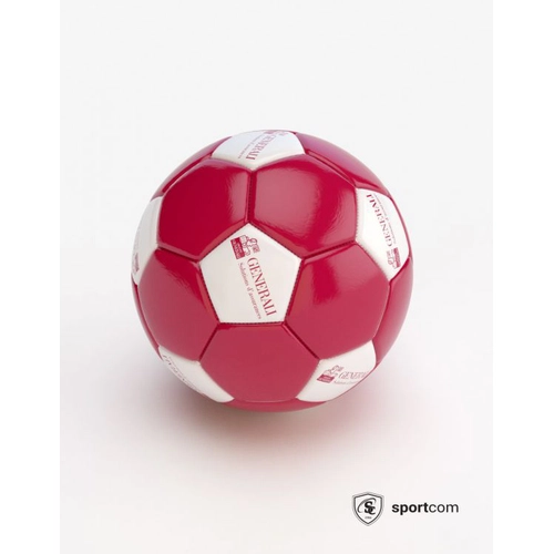 image du produit Ballon de Foot Loisirs Taille 5