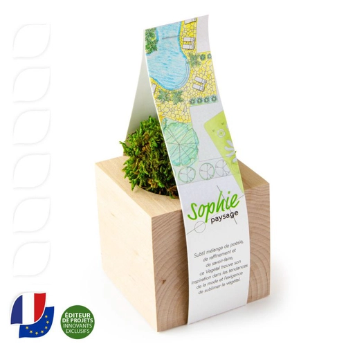 image du produit Boule de mousse végétale dans son cube en bois