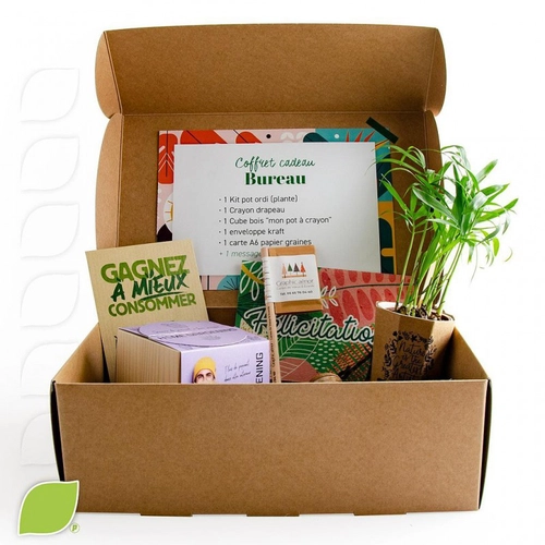 image du produit Box green au bureau, goodies utiles et écolos