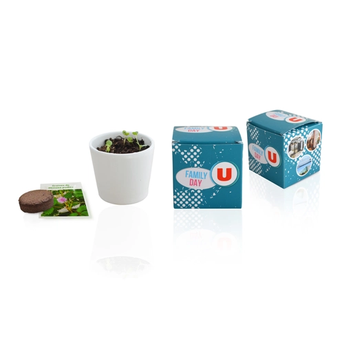 image du produit Cube de plantation avec pot céramique 7 cm - kits semis