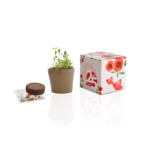 image du produit Cube de plantation avec pot céramique 7 cm - kits semis