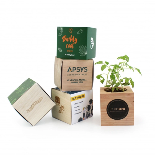 image du produit Cube en bois avec kit de plantation