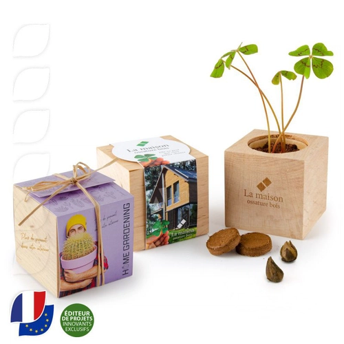 image du produit Ecocube en bois MADE IN France -  avec sachet de graines