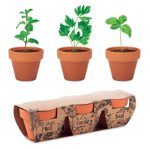 image du produit Kit de plantation 3 pots en terre cuite - menthe, persil et basilic