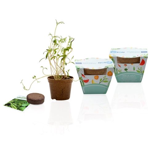 image du produit Kit de plantation avec pot en paille de riz