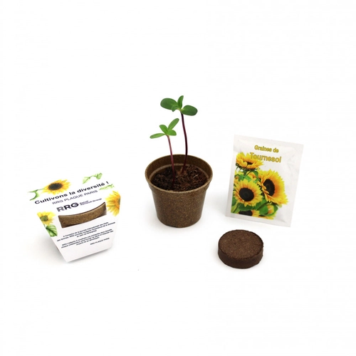 image du produit Kit de plantation avec pot en paille de riz