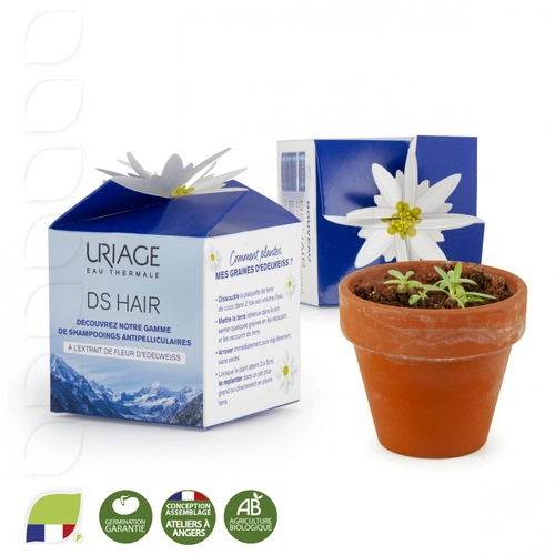 image du produit Kit de plantation boite cube avec graines