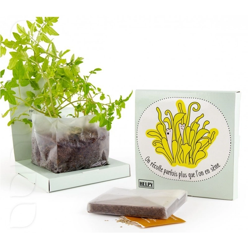 image du produit Kit de plantation carré coco box avec graines à semer