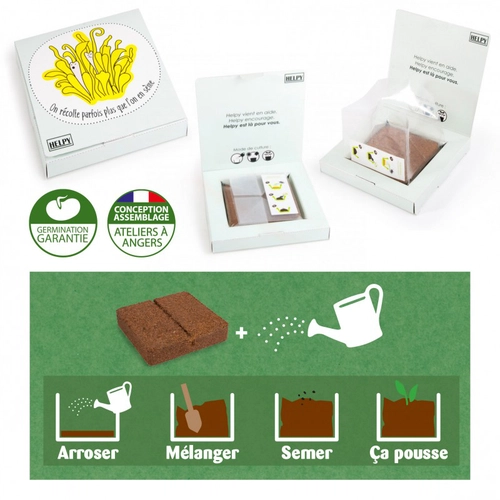 image du produit Kit de plantation carré coco box avec graines à semer