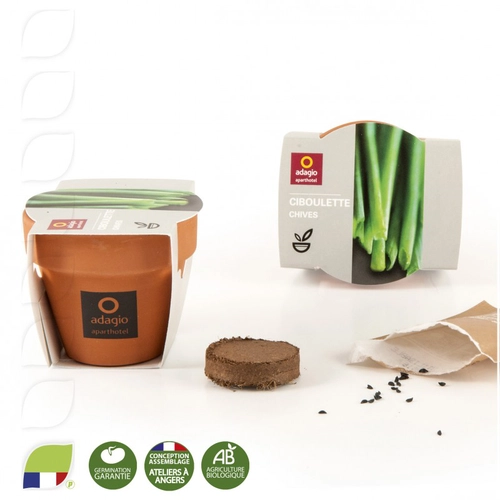 image du produit Kit de plantation en pot terre cuite avec graines