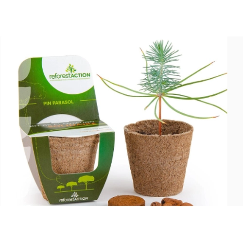 image du produit Kit de plantation pot tourbe biodégradable