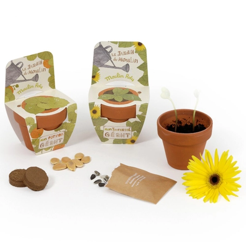 image du produit Kit de plantation terre cuite 70 mm avec graines à planter