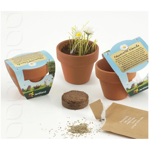 image du produit Kit de plantation terre cuite avec graines à faire pousser