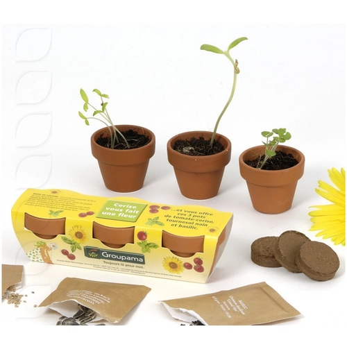 image du produit Kit de plantation trio de pots terre cuite, graines à semer