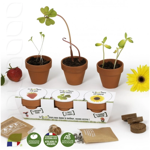 image du produit Kit de plantation trio de pots terre cuite, graines à semer