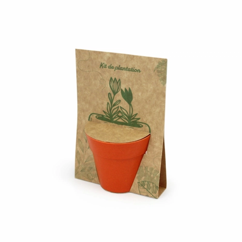 image du produit Kit de semis avec pot en fibre de bambou biodégradable