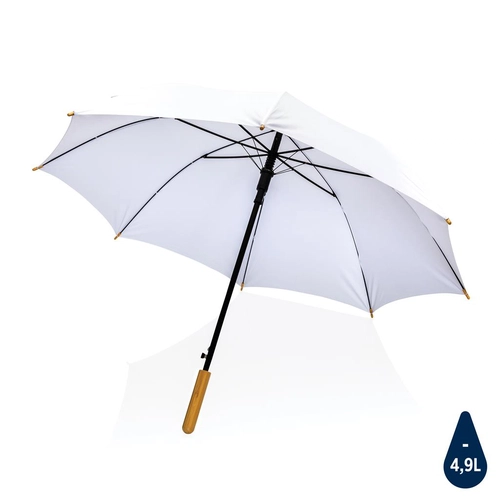 image du produit Parapluie 23