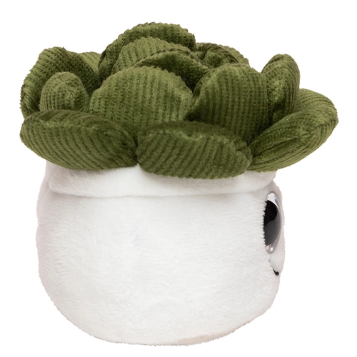 image du produit Peluche plante succulent en microfibre - convient aux enfants