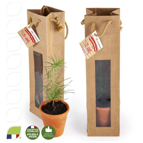 image du produit Petit plant de pin en pot terre et sac kraft brun