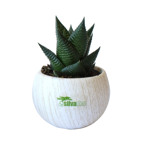 image du produit Plante pot céramique aimanté effet bois